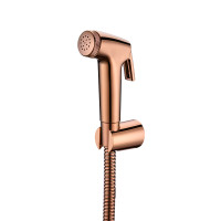 DUCHA HIGIENICA DE PARED 50030079784RG