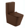 INODORO COM CAJA MARRON